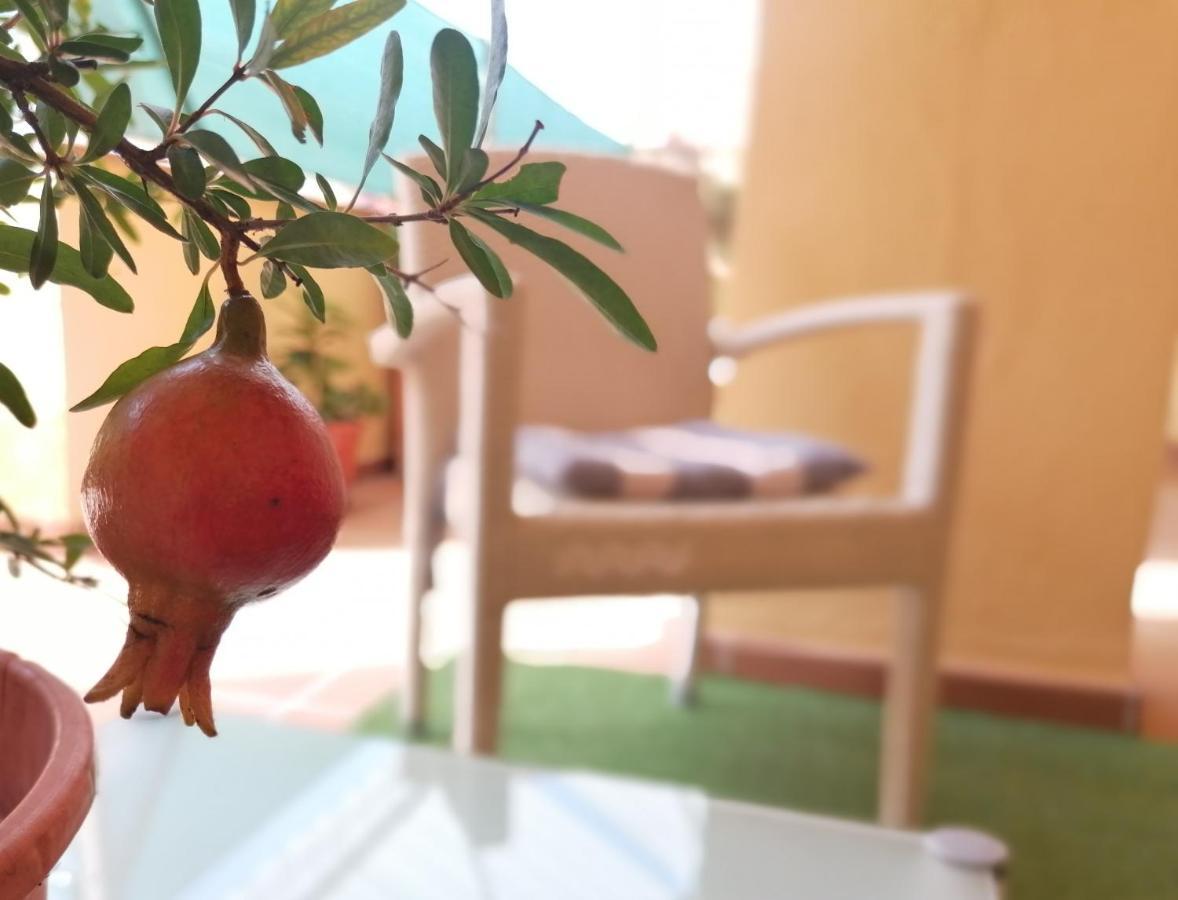 Relax & Home, Apartamento Con Terraza Y Parking ラ・スビア エクステリア 写真